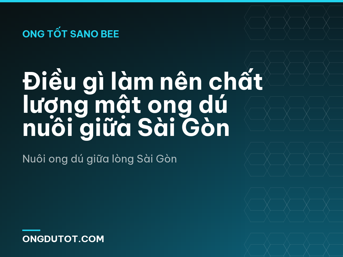 Điều gì làm nên chất lượng mật ong dú nuôi giữa Sài Gòn