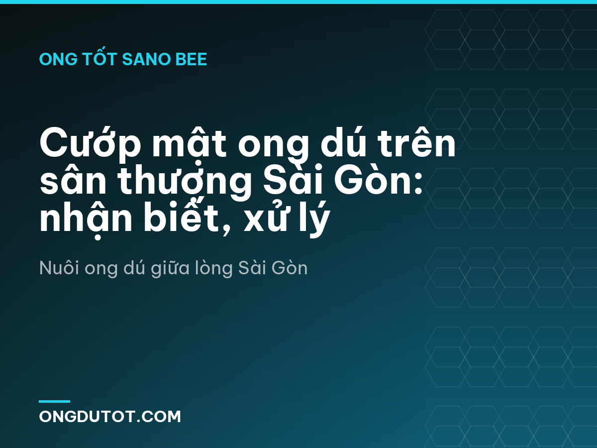 Cướp mật ong dú trên sân thượng Sài Gòn: nhận biết, xử lý