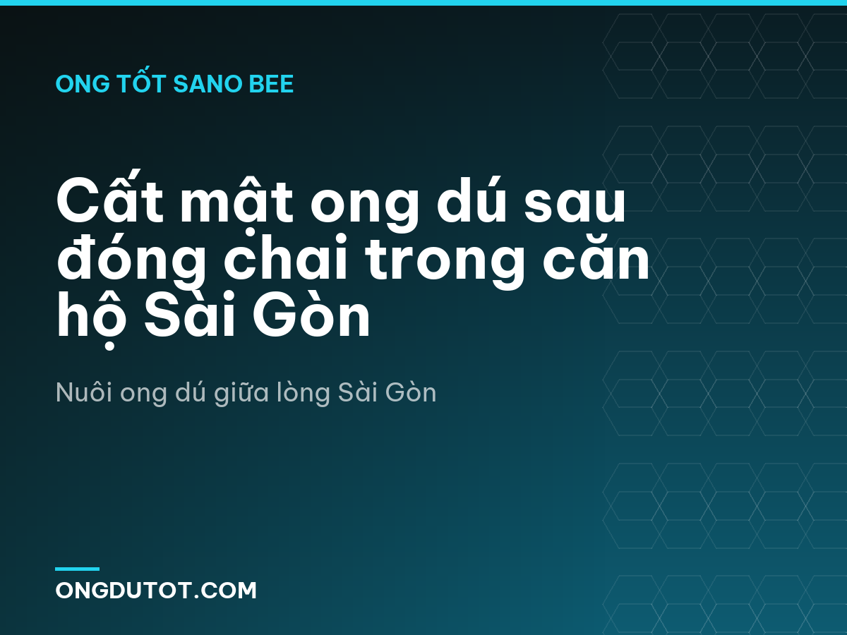 Cất mật ong dú sau đóng chai trong căn hộ Sài Gòn
