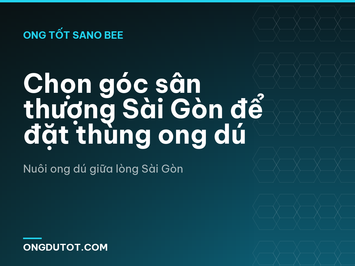Chọn góc sân thượng Sài Gòn để đặt thùng ong dú