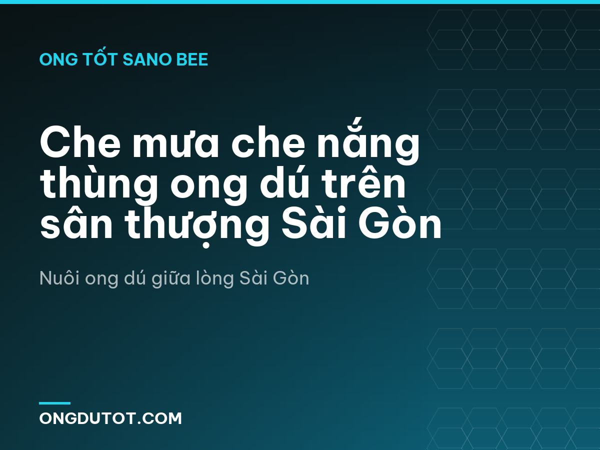 Che mưa che nắng thùng ong dú trên sân thượng Sài Gòn