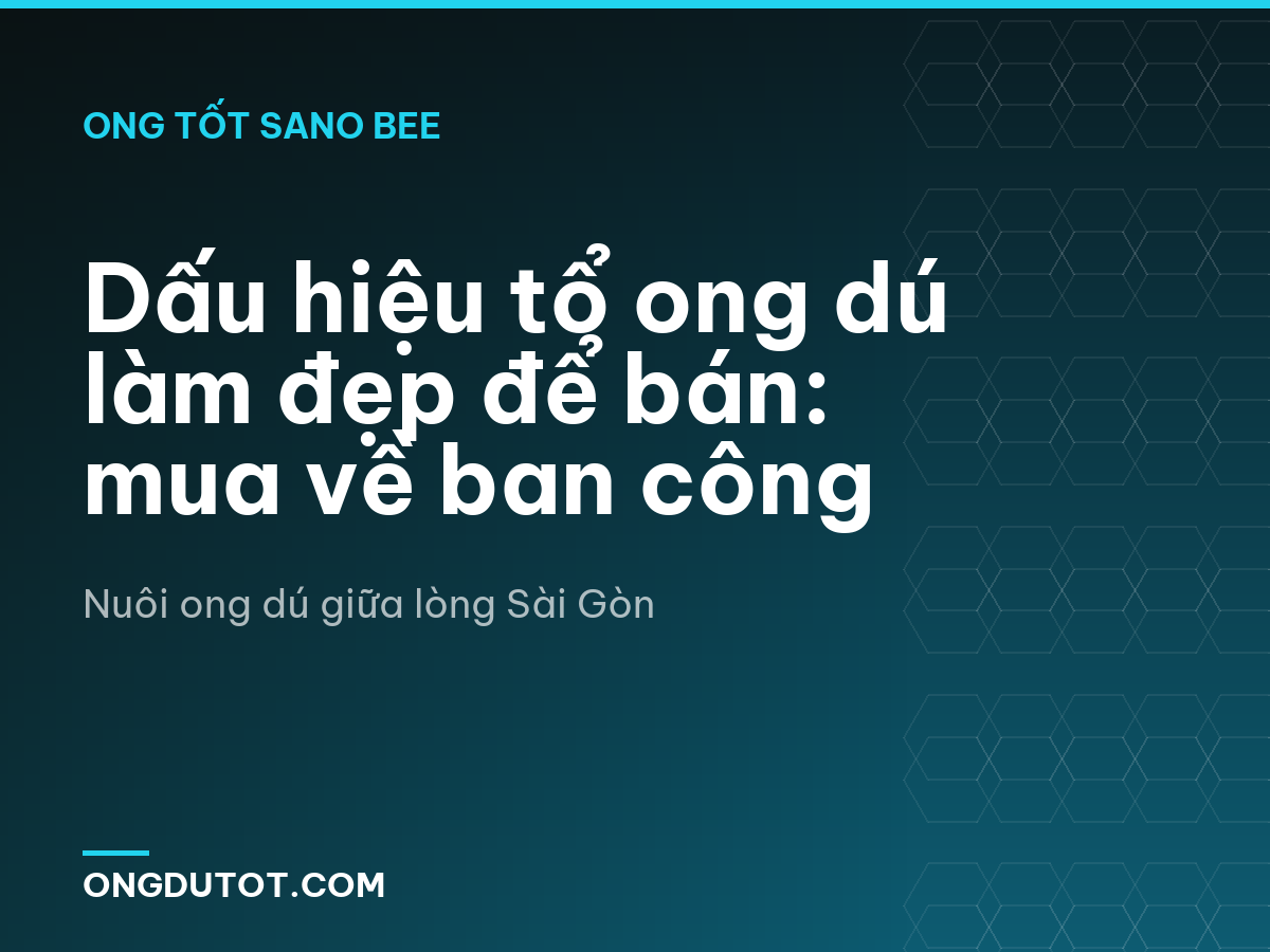 Dấu hiệu tổ ong dú làm đẹp để bán: mua về ban công