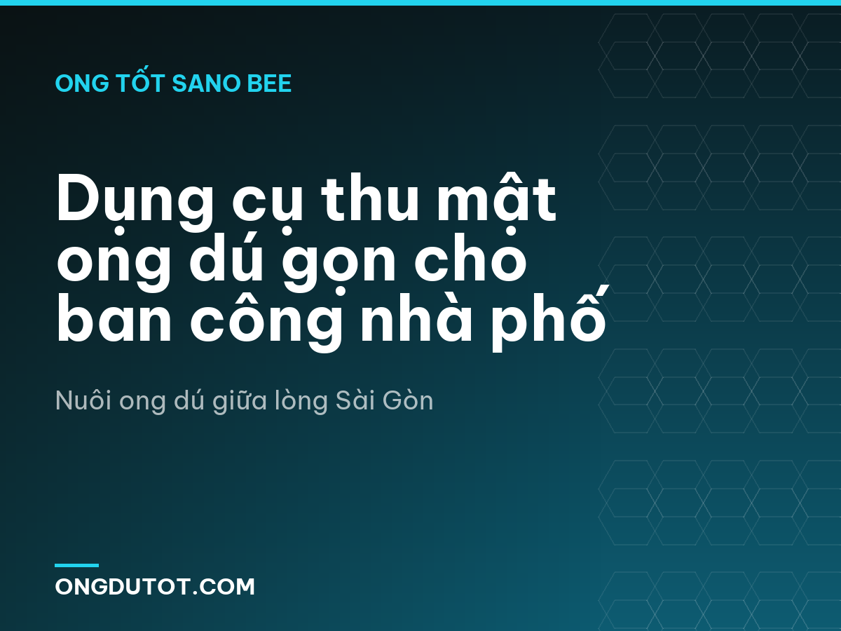 Dụng cụ thu mật ong dú gọn cho ban công nhà phố
