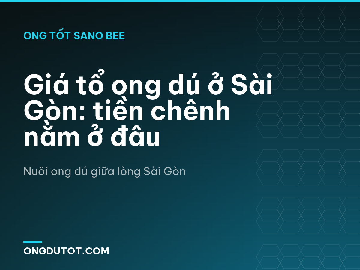 Giá tổ ong dú ở Sài Gòn: tiền chênh nằm ở đâu