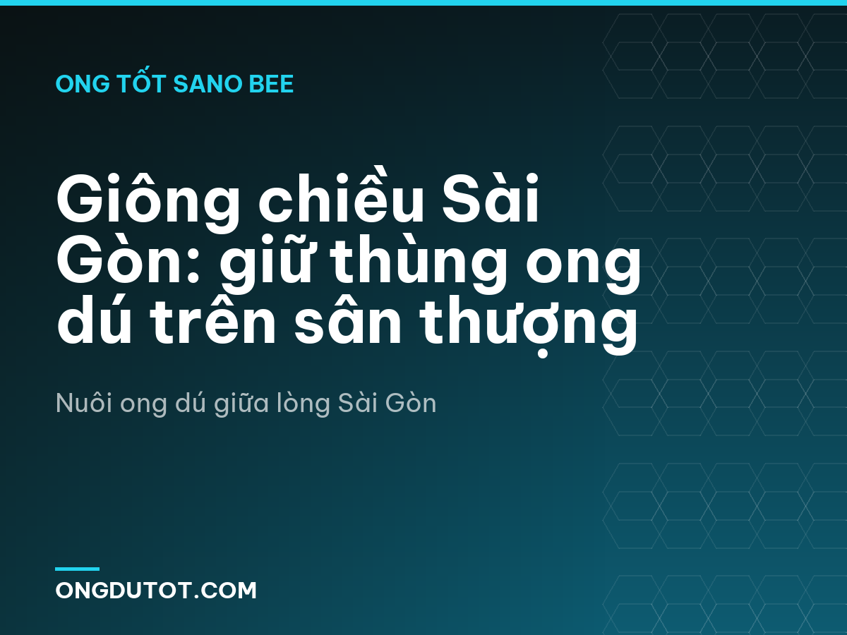 Giông chiều Sài Gòn: giữ thùng ong dú trên sân thượng