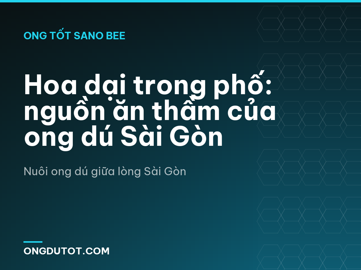 Hoa dại trong phố: nguồn ăn thầm của ong dú Sài Gòn
