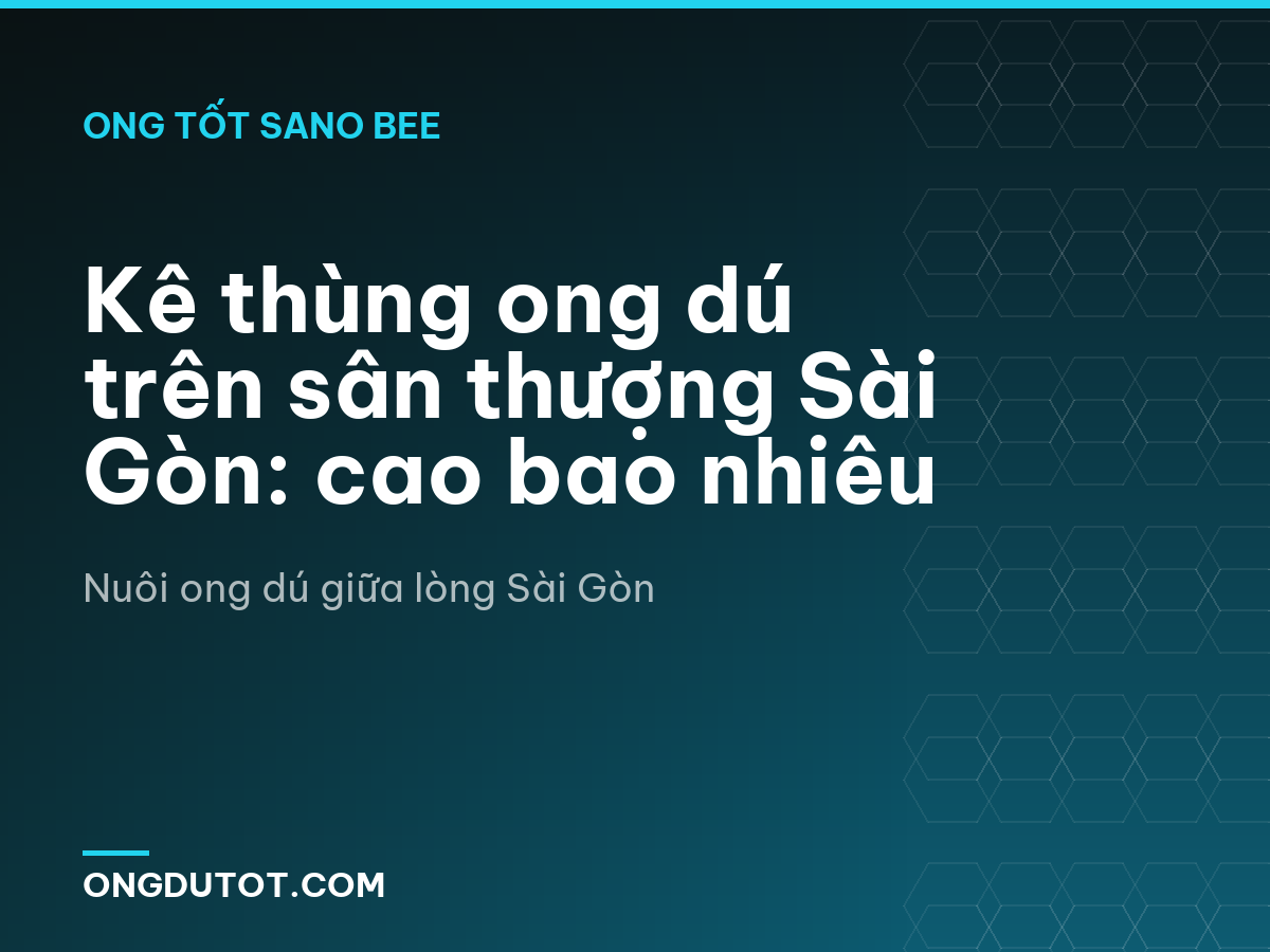 Kê thùng ong dú trên sân thượng Sài Gòn: cao bao nhiêu