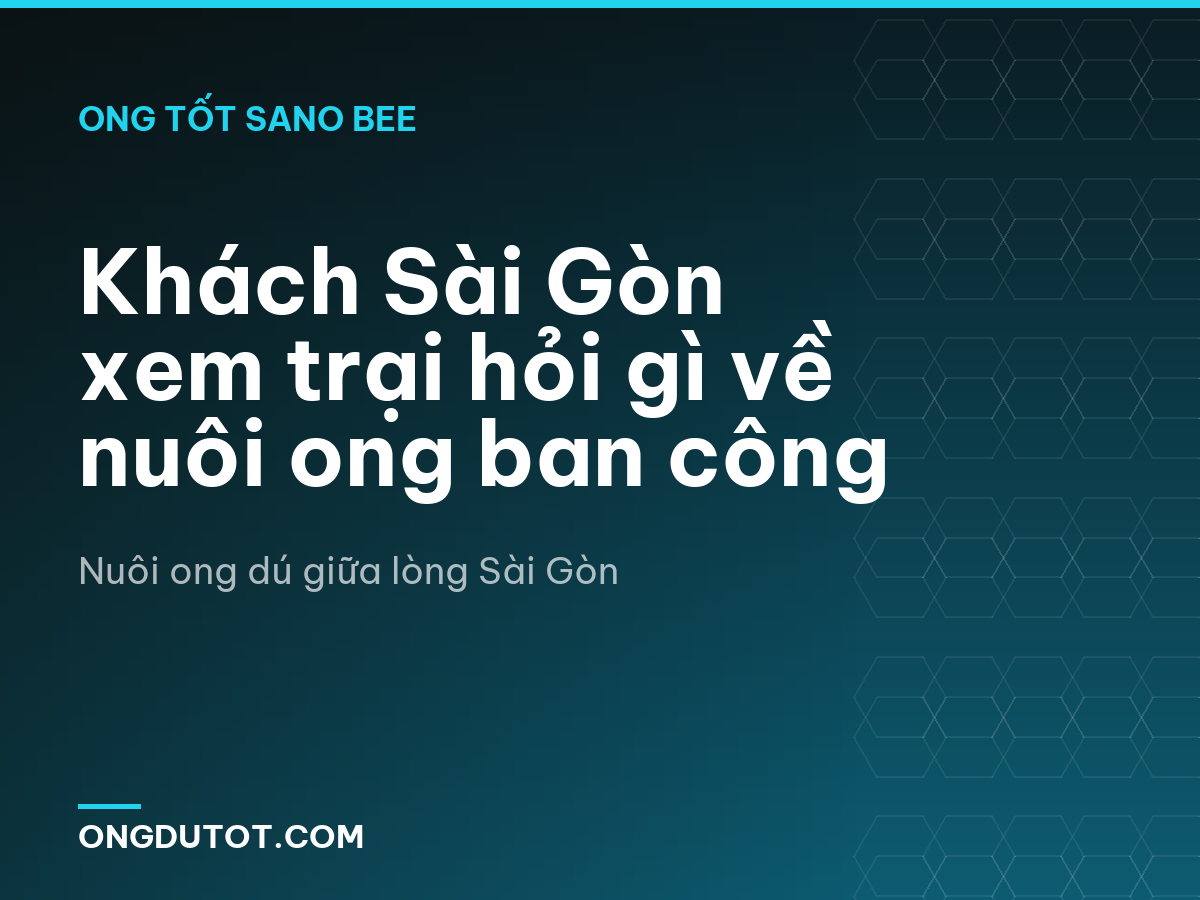 Khách Sài Gòn xem trại hỏi gì về nuôi ong ban công
