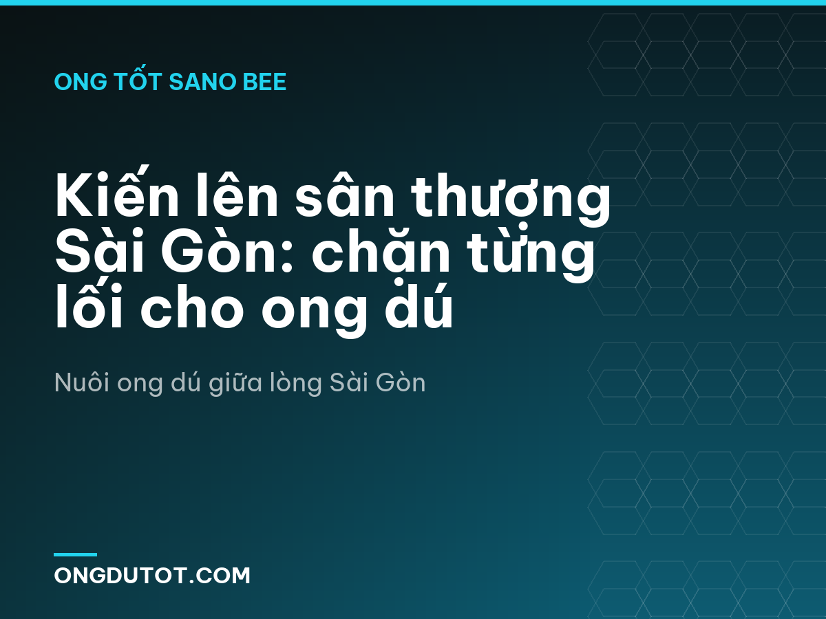 Kiến lên sân thượng Sài Gòn: chặn từng lối cho ong dú