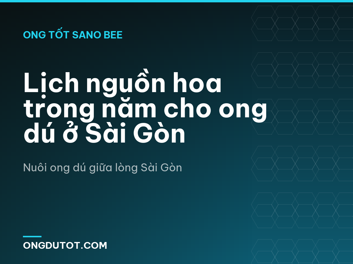 Lịch nguồn hoa trong năm cho ong dú ở Sài Gòn