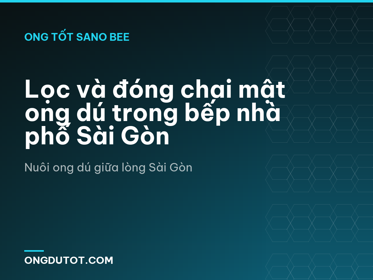 Lọc và đóng chai mật ong dú trong bếp nhà phố Sài Gòn