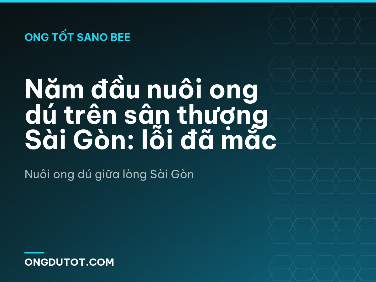 Năm đầu nuôi ong dú trên sân thượng Sài Gòn: lỗi đã mắc