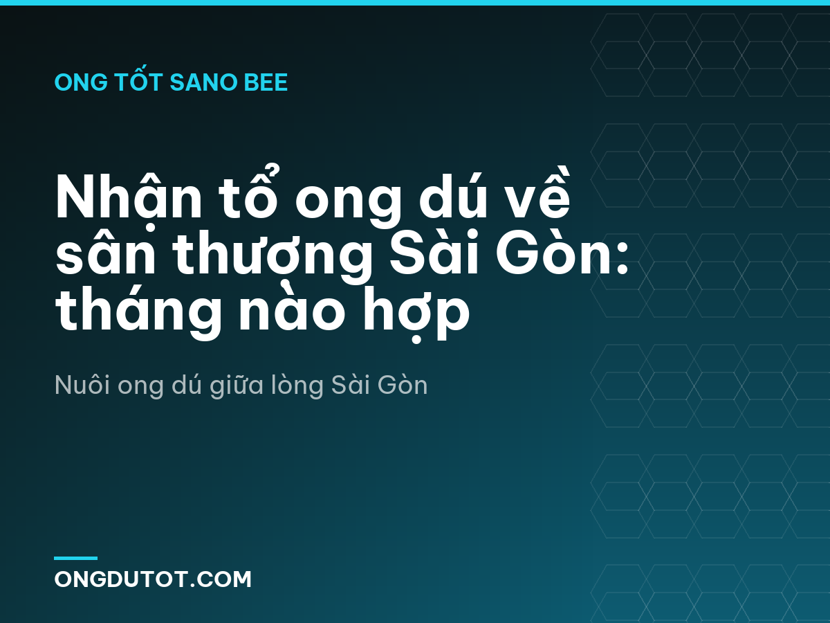 Nhận tổ ong dú về sân thượng Sài Gòn: tháng nào hợp