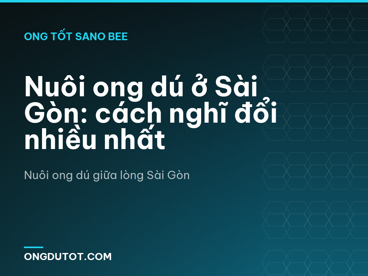 Nuôi ong dú ở Sài Gòn: cách nghĩ đổi nhiều nhất