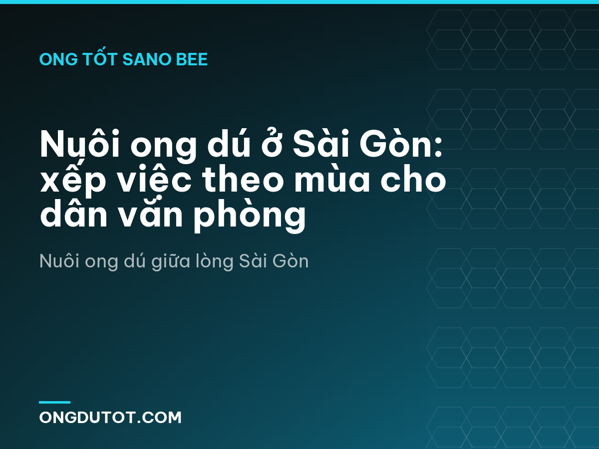 Nuôi ong dú ở Sài Gòn: xếp việc theo mùa cho dân văn phòng