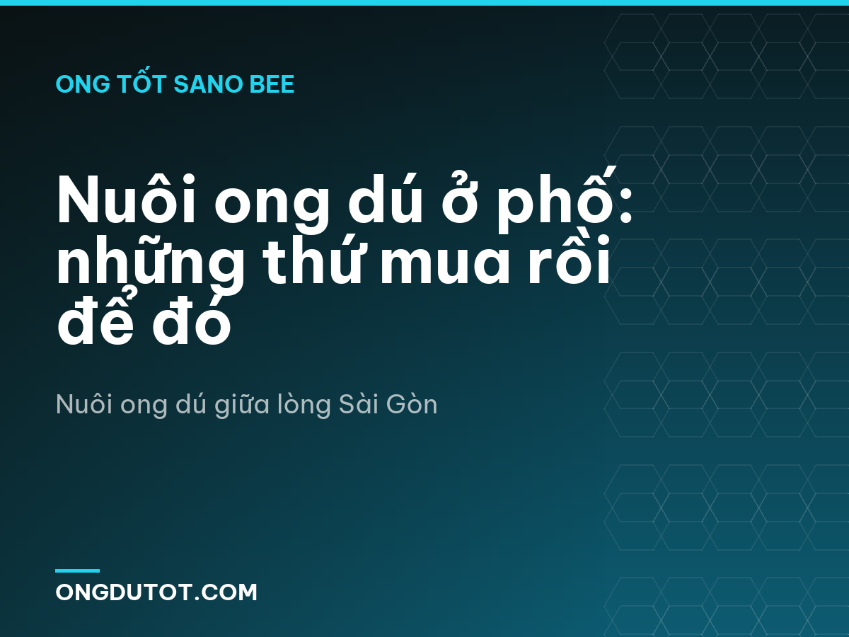 Nuôi ong dú ở phố: những thứ mua rồi để đó