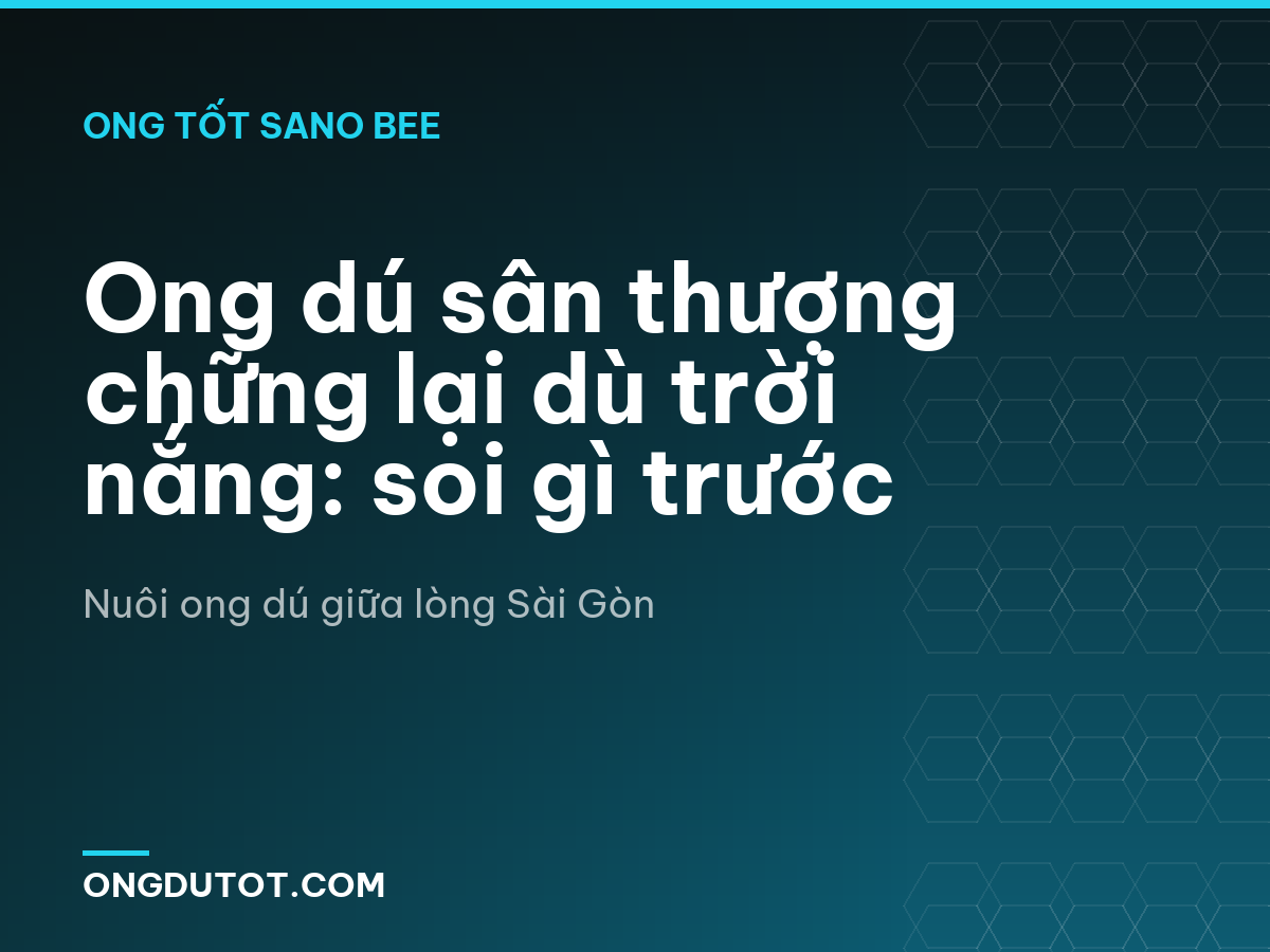Ong dú sân thượng chững lại dù trời nắng: soi gì trước