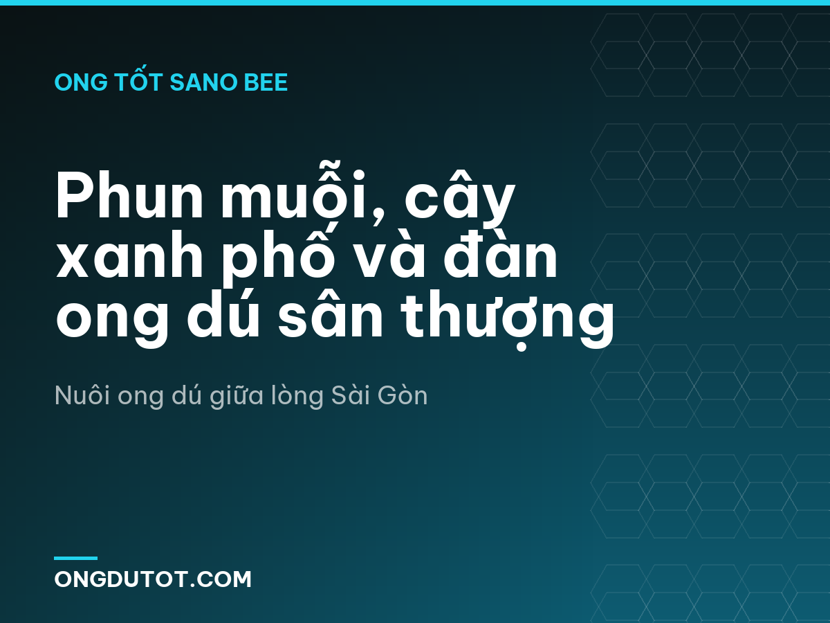 Phun muỗi, cây xanh phố và đàn ong dú sân thượng
