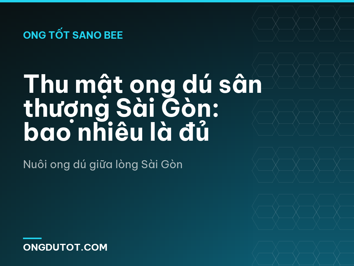 Thu mật ong dú sân thượng Sài Gòn: bao nhiêu là đủ