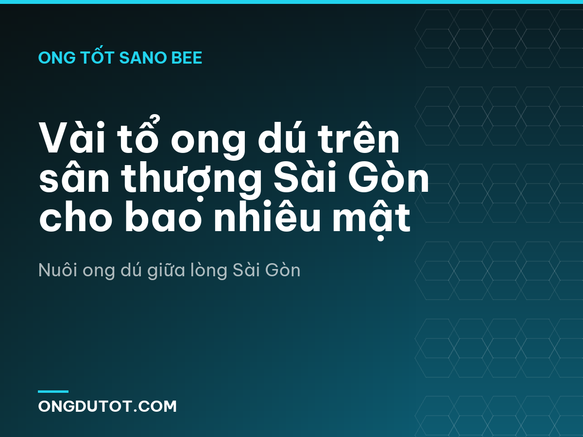 Vài tổ ong dú trên sân thượng Sài Gòn cho bao nhiêu mật