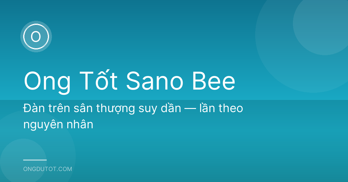 Đàn trên sân thượng suy dần — lần theo nguyên nhân