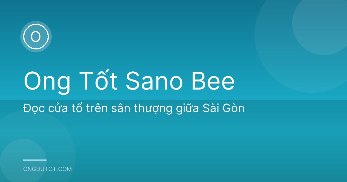 Đọc cửa tổ trên sân thượng giữa Sài Gòn