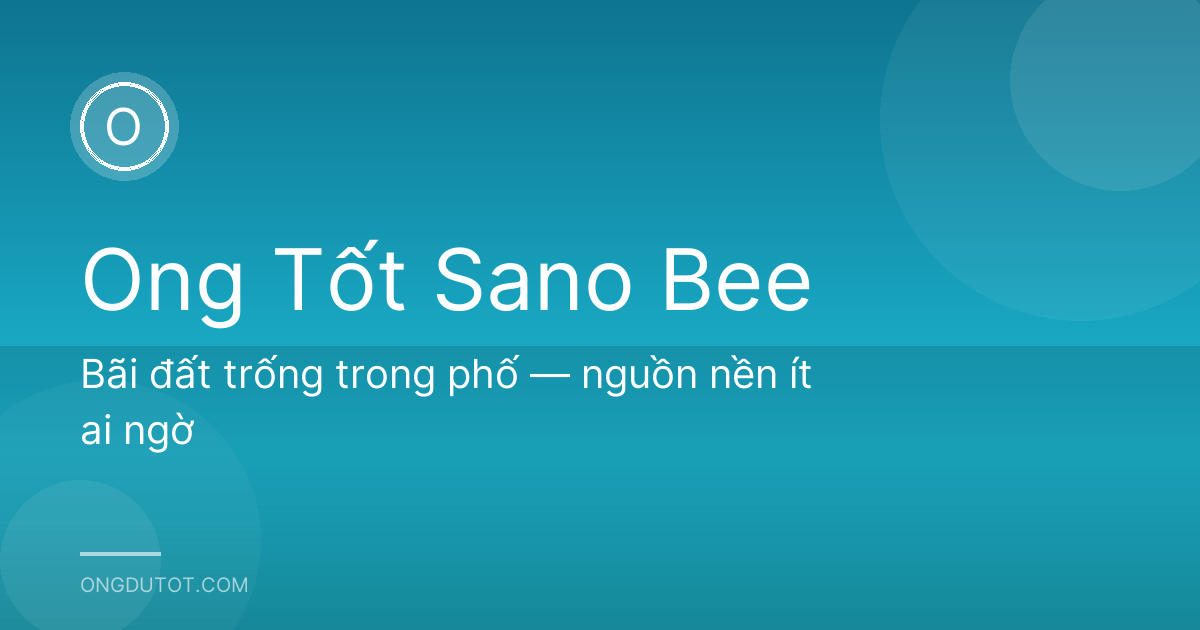 Bãi đất trống trong phố — nguồn nền ít ai ngờ