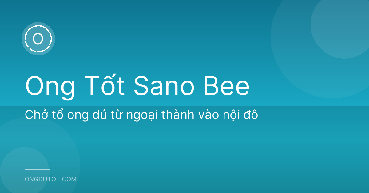 Chở tổ ong dú từ ngoại thành vào nội đô