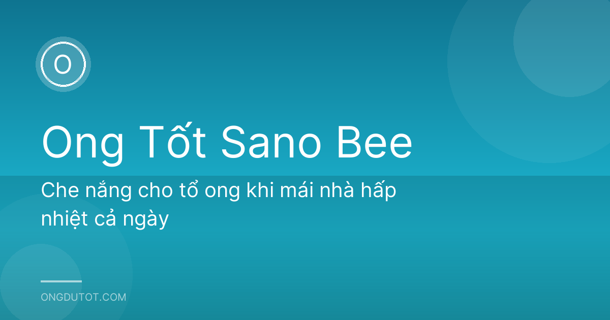 Che nắng cho tổ ong khi mái nhà hấp nhiệt cả ngày