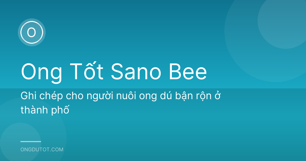 Ghi chép cho người nuôi ong dú bận rộn ở thành phố