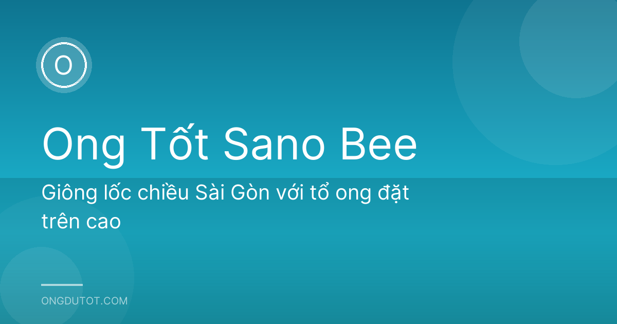 Giông lốc chiều Sài Gòn với tổ ong đặt trên cao