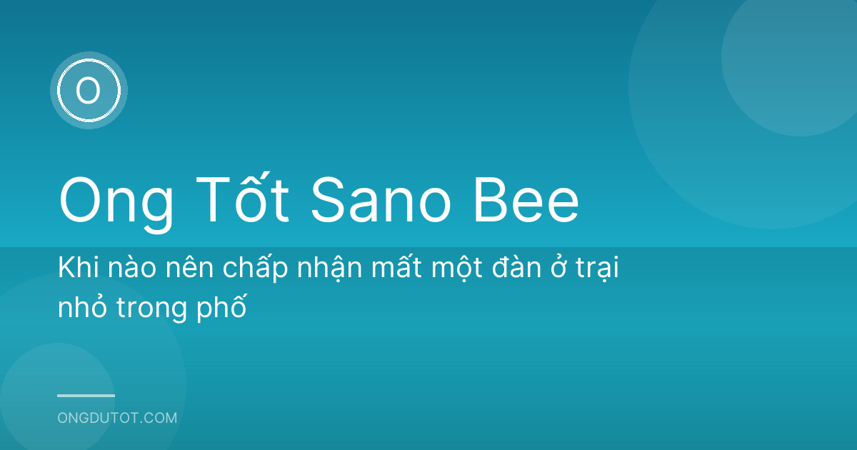 Khi nào nên chấp nhận mất một đàn ở trại nhỏ trong phố