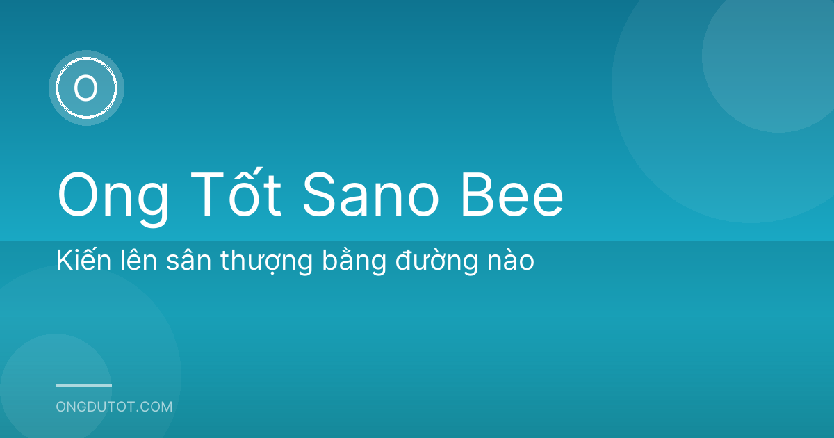 Kiến lên sân thượng bằng đường nào