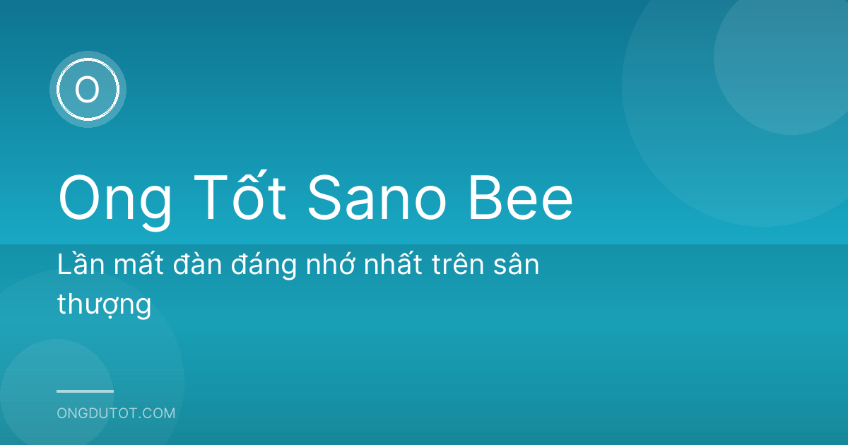 Lần mất đàn đáng nhớ nhất trên sân thượng