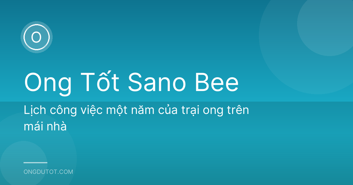 Lịch công việc một năm của trại ong trên mái nhà