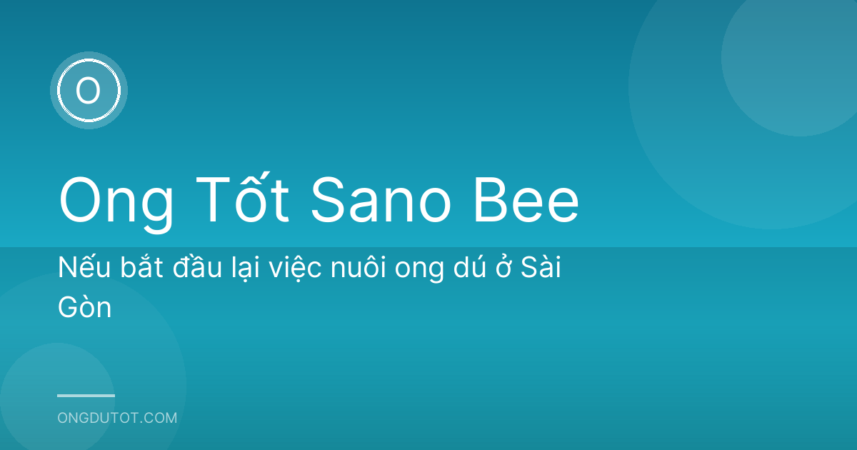 Nếu bắt đầu lại việc nuôi ong dú ở Sài Gòn