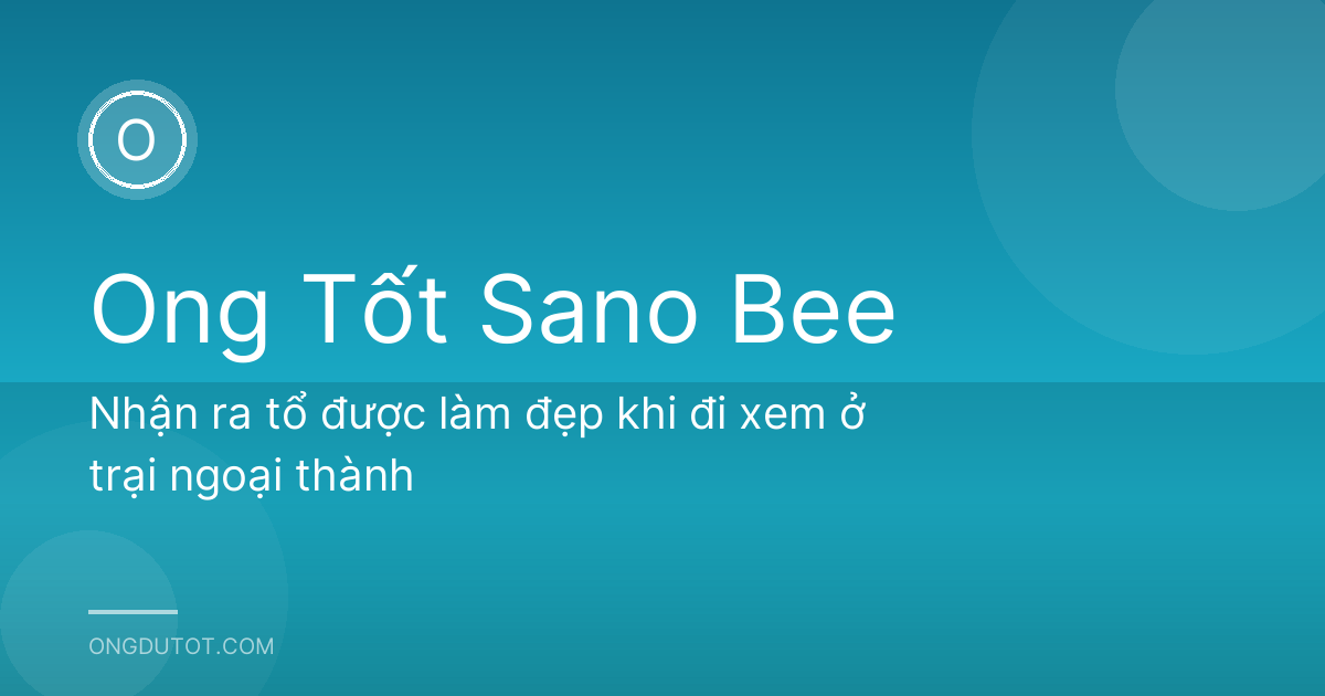Nhận ra tổ được làm đẹp khi đi xem ở trại ngoại thành