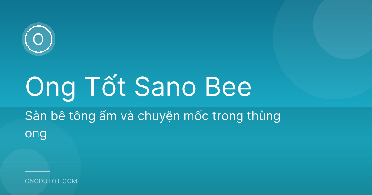 Sàn bê tông ẩm và chuyện mốc trong thùng ong