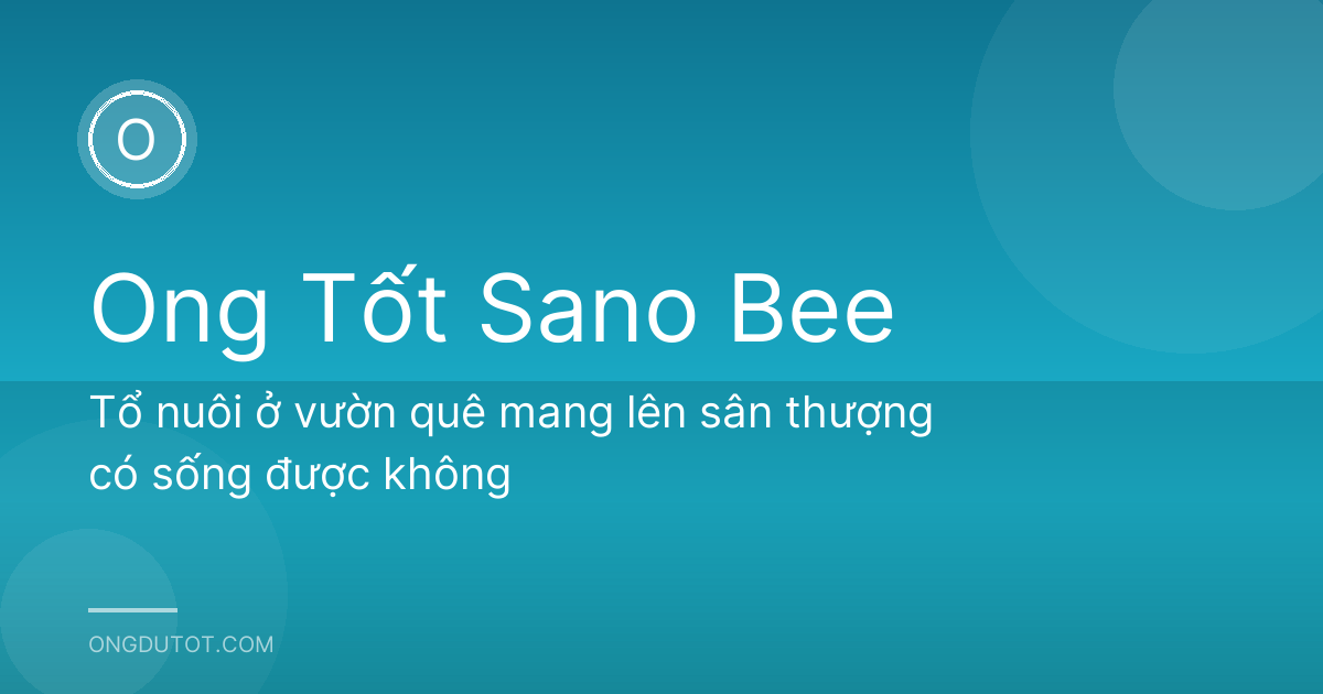 Tổ nuôi ở vườn quê mang lên sân thượng có sống được không