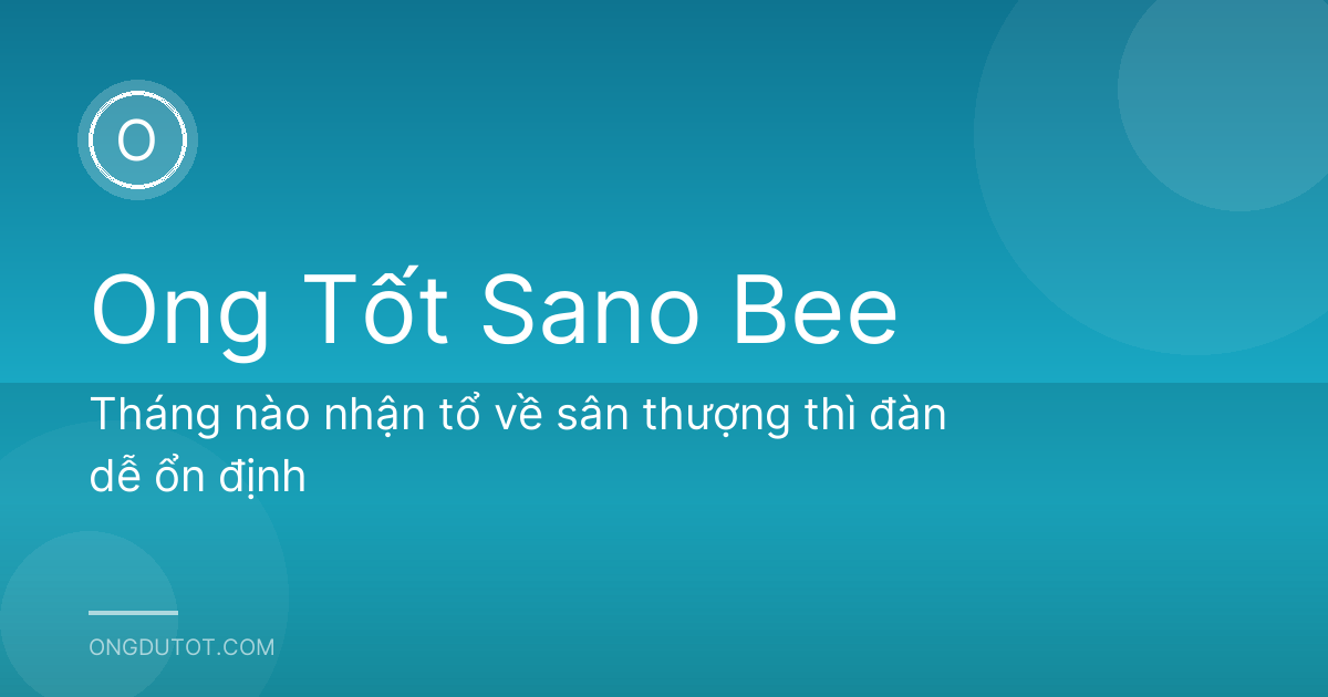 Tháng nào nhận tổ về sân thượng thì đàn dễ ổn định
