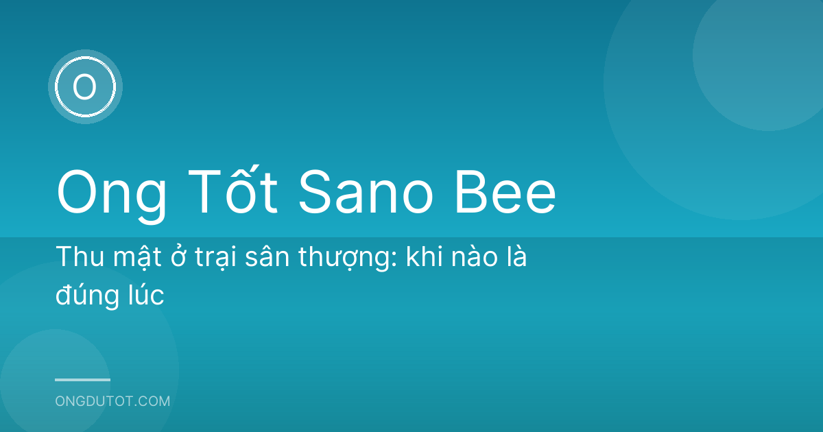 Thu mật ở trại sân thượng: khi nào là đúng lúc